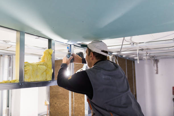 Best Residential Insulation in Sun Village, CA